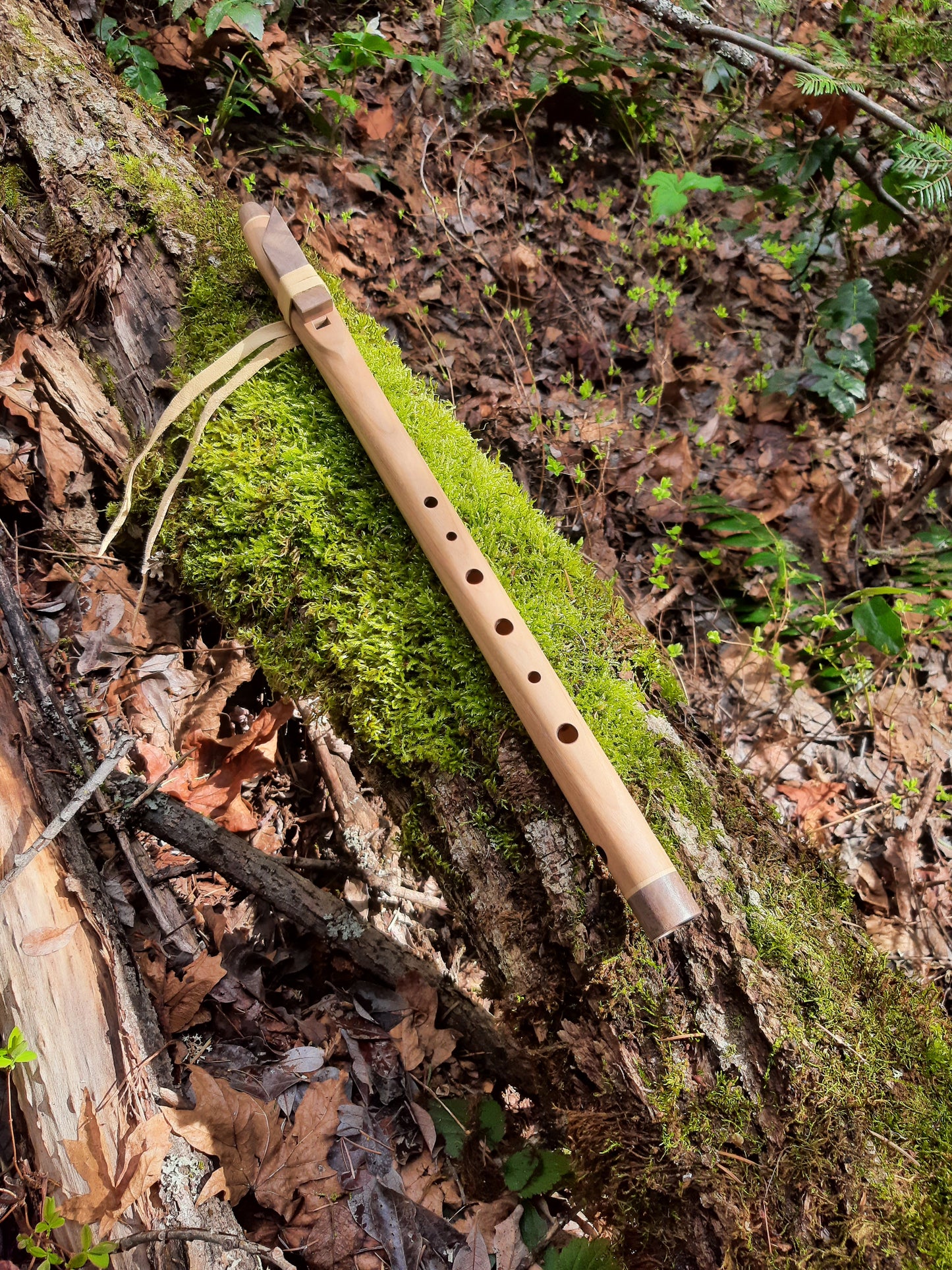 Key of A, Cherry Aeolian (natural minor scale)