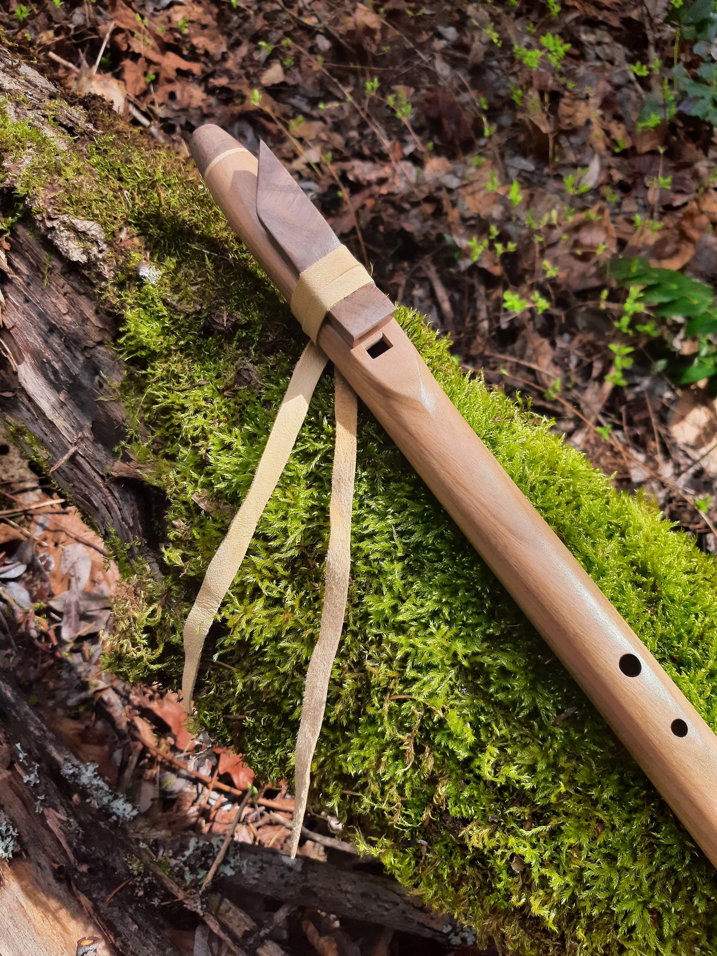 Key of A, Cherry Aeolian (natural minor scale)