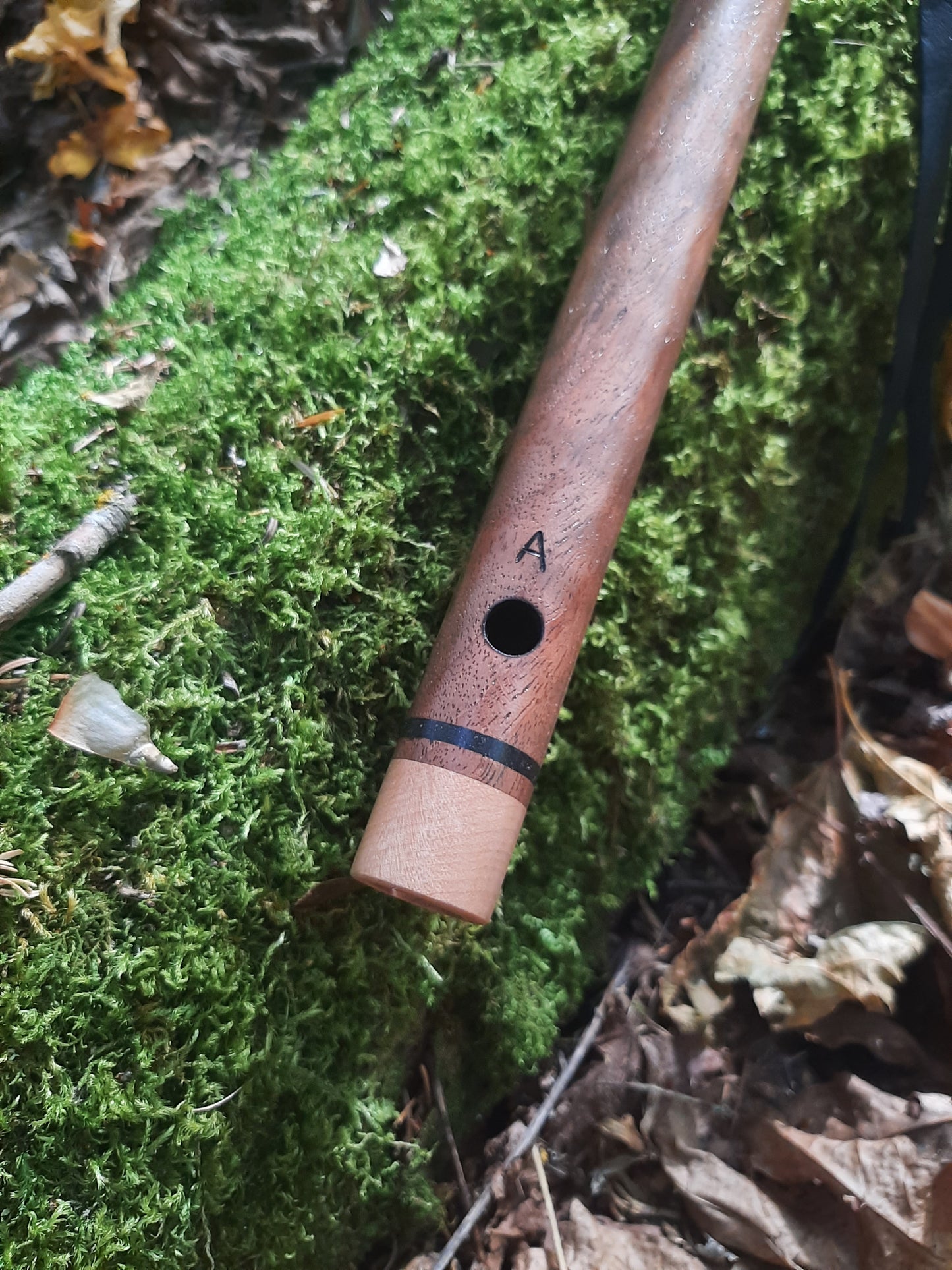 Key of A minor, curly Bastogne Walnut w curly Maple end caps and sound block, MADE TO ORDER