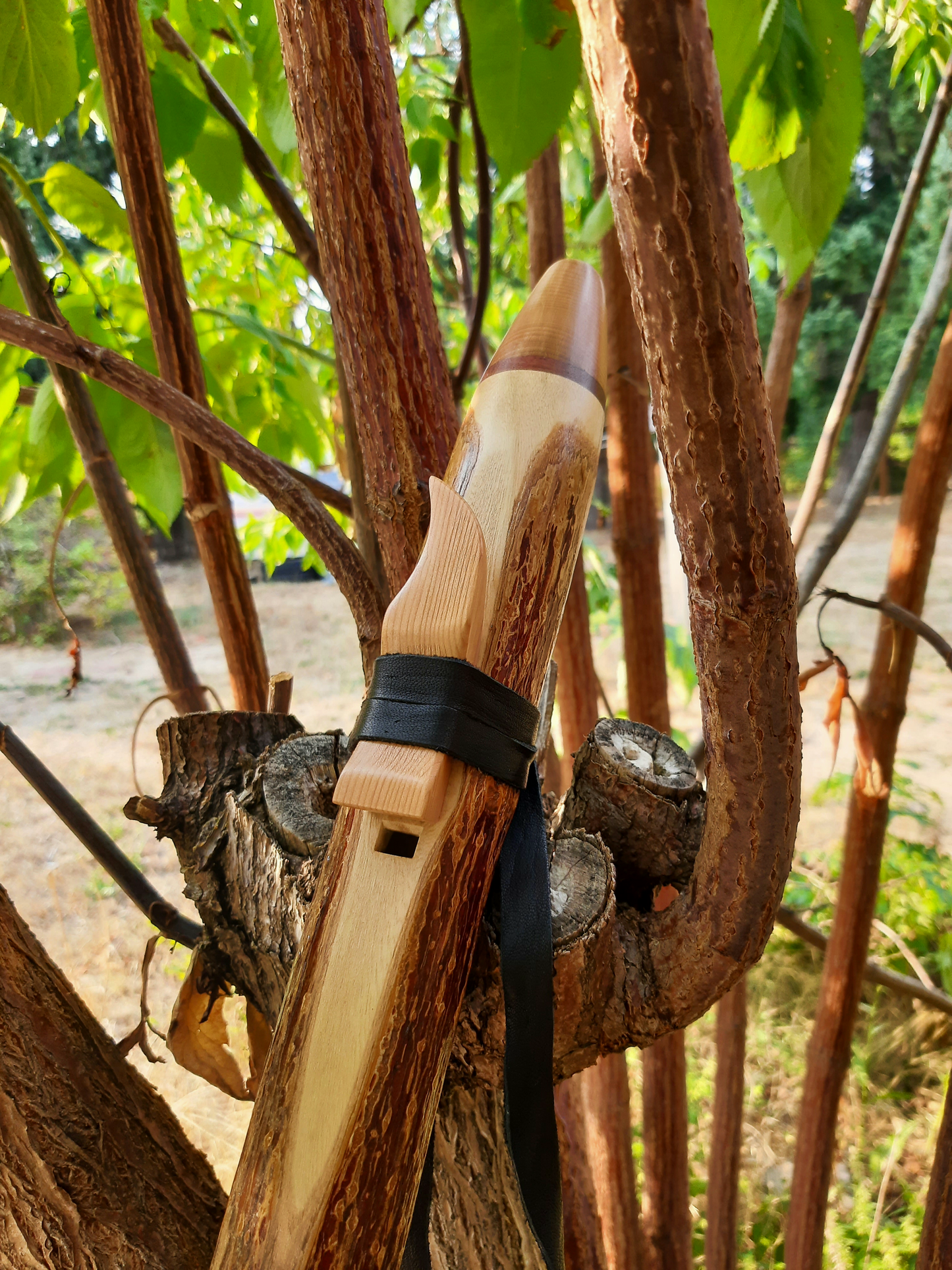 IN STOCK, low E minor, Elderberry stem flute