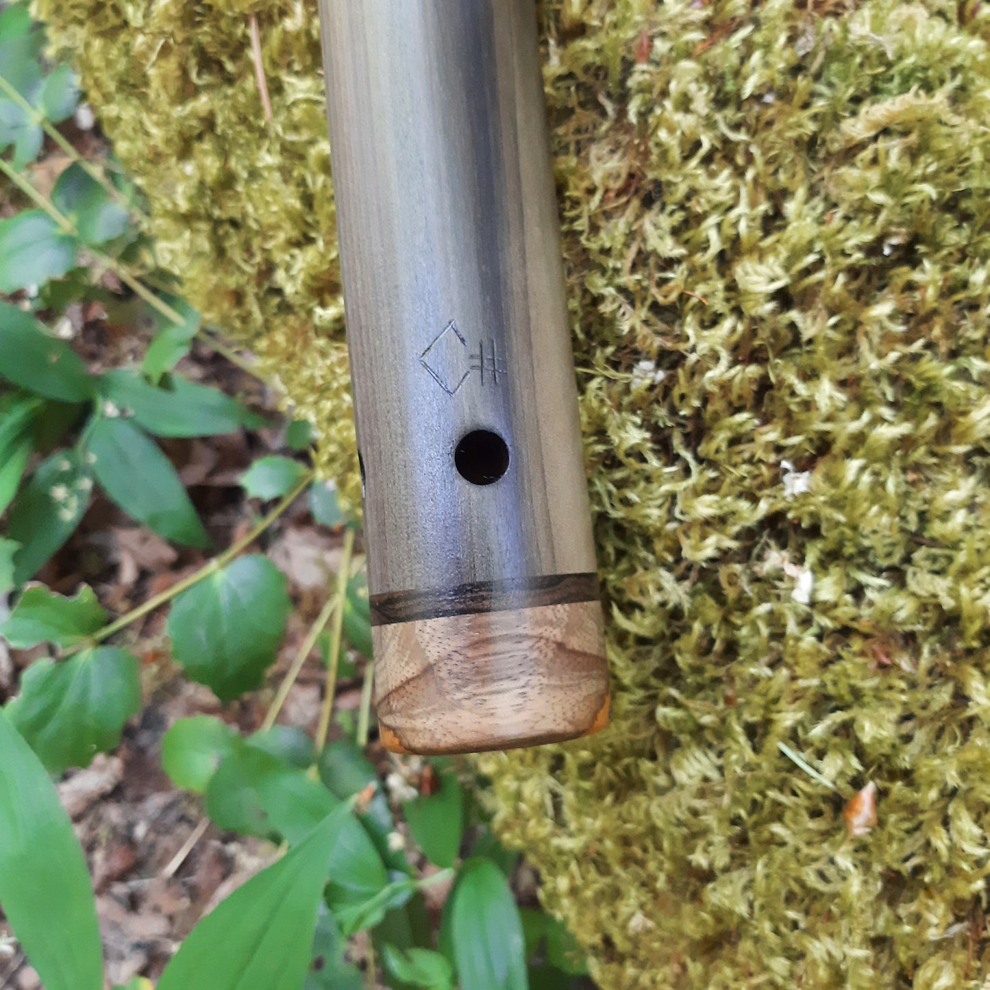 IN STOCK, dark Poplar, low BASS, C# minor, 440 hz.