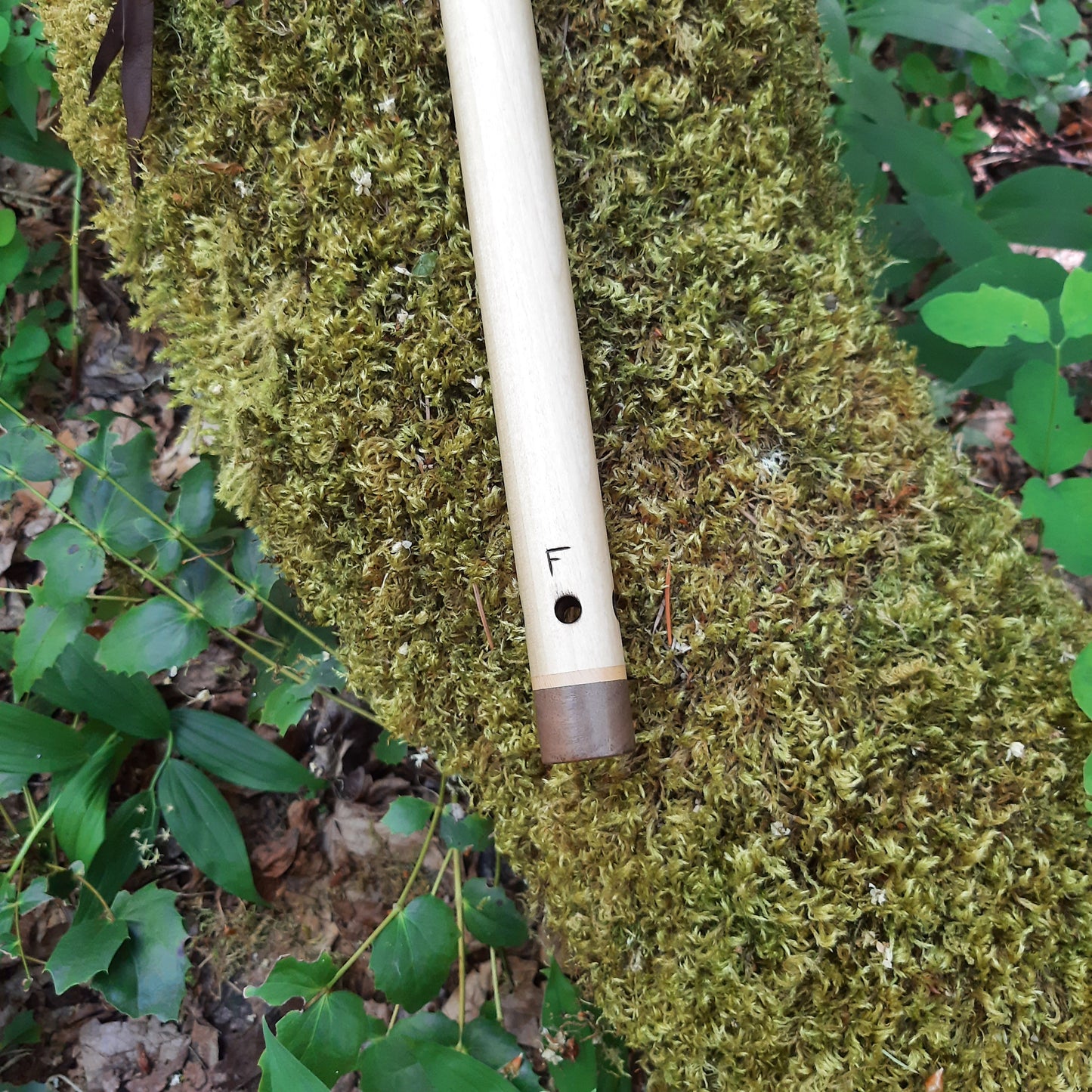 IN STOCK, Poplar, mid-range F Aeolian - 440 hz.