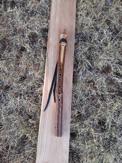 IN STOCK, low D minor, Elderberry stem flute. 440 hz