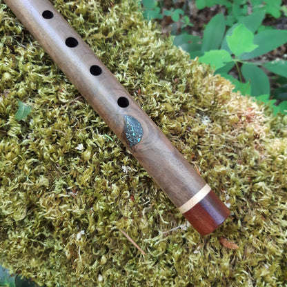 IN STOCK, Curly Walnut, high A minor, 440 hz.