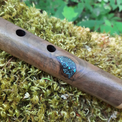 IN STOCK, Curly Walnut, high A minor, 440 hz.