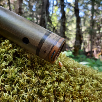 IN STOCK, dark Poplar, low BASS, C# minor, 440 hz.
