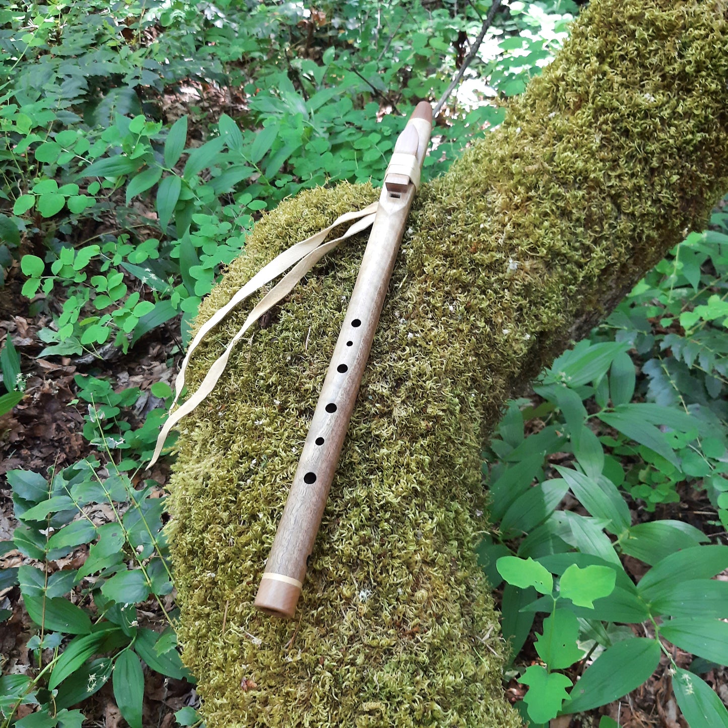 IN STOCK,  Walnut, mid-range G Aeolian - 440 hz.