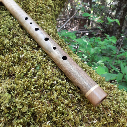 IN STOCK,  Walnut, mid-range G Aeolian - 440 hz.