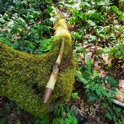 IN STOCK, mid-range, F minor, Elderberry Stem flute with Galactic stone inlay