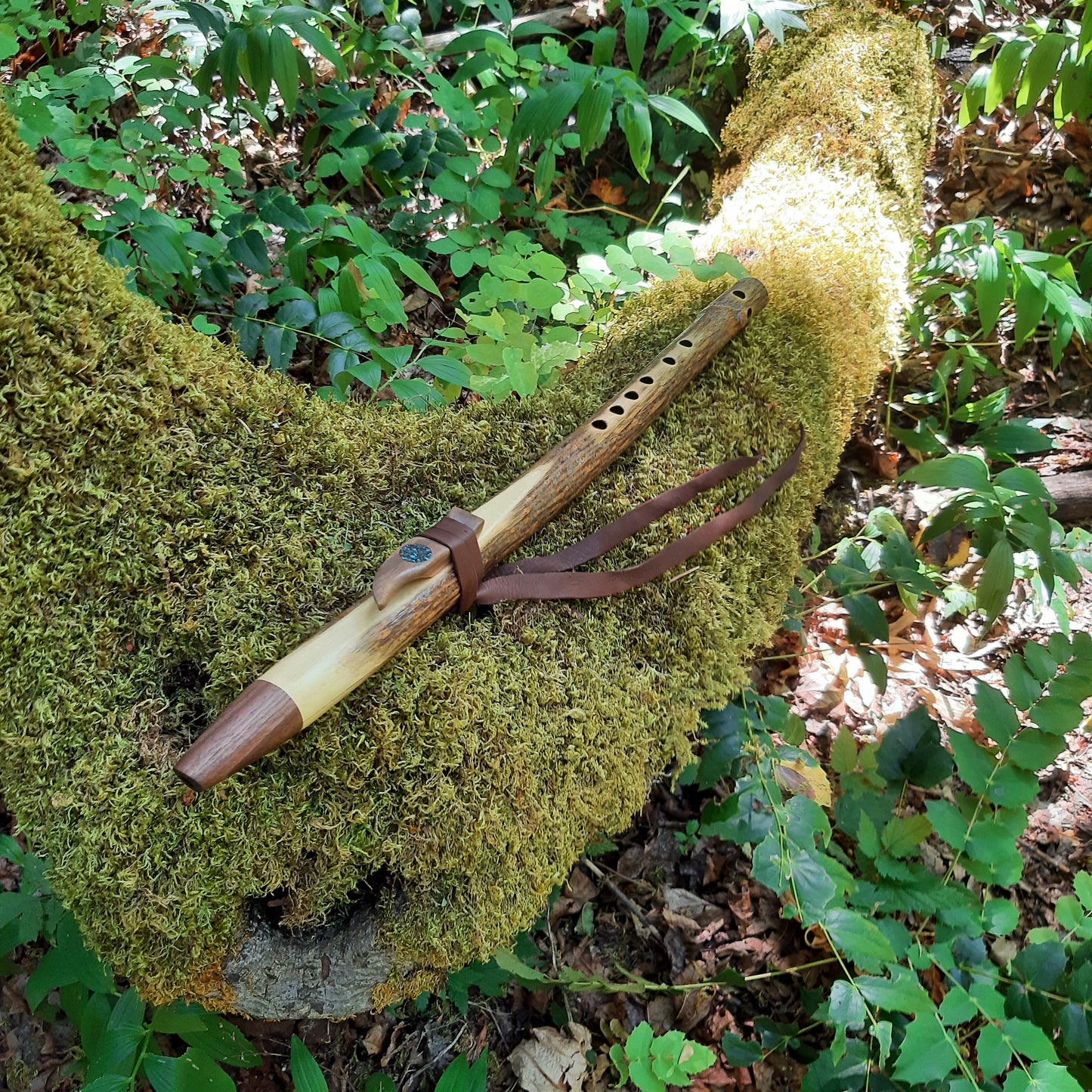 IN STOCK, mid-range, F minor, Elderberry Stem flute with Galactic stone inlay