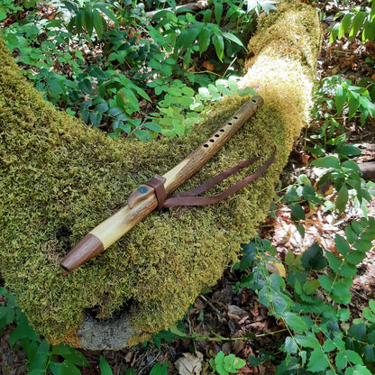 IN STOCK, mid-range, F minor, Elderberry Stem flute with Galactic stone inlay