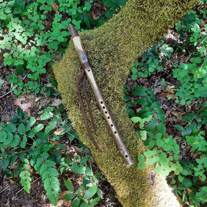 IN STOCK, mid-range, F minor, Elderberry Stem flute with Galactic stone inlay