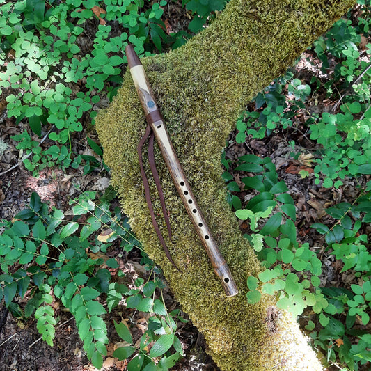 IN STOCK, mid-range, F minor, Elderberry Stem flute with Galactic stone inlay
