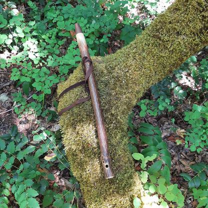 IN STOCK, mid-range, F minor, Elderberry Stem flute with Galactic stone inlay