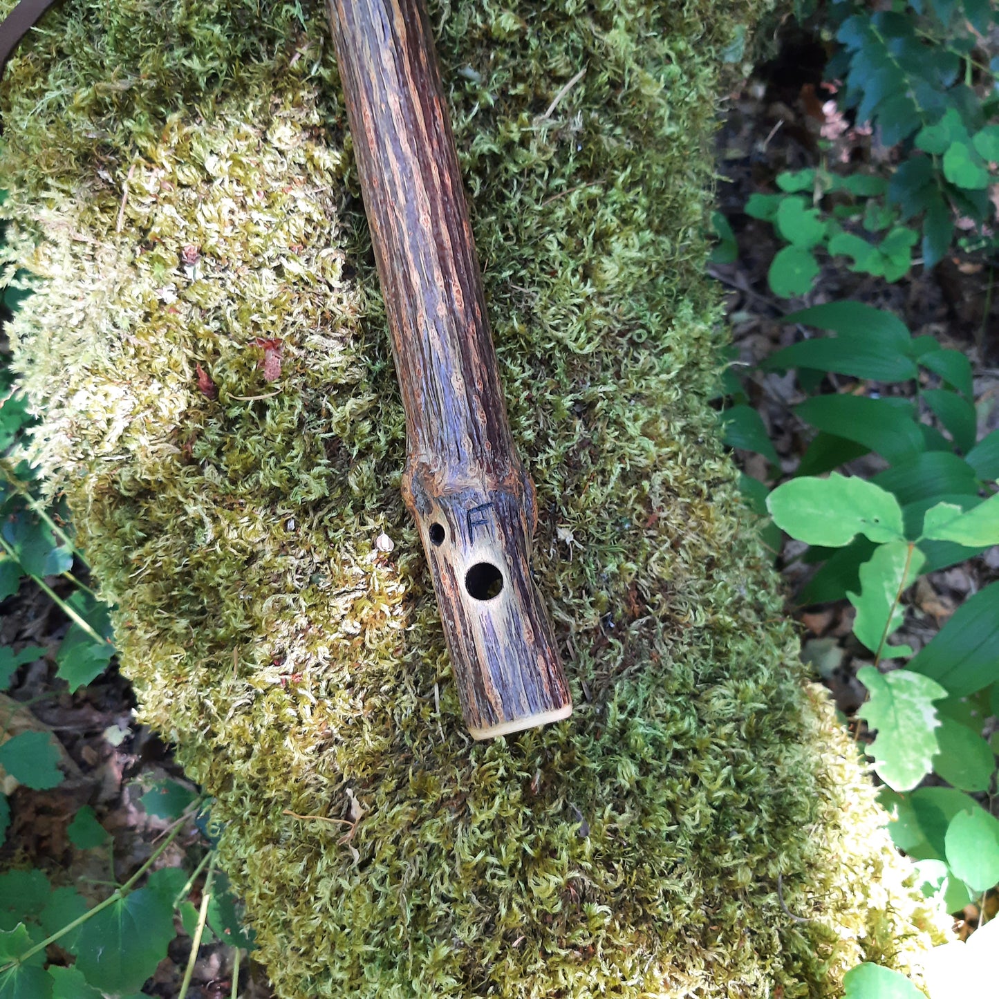 IN STOCK, mid-range, F minor, Elderberry Stem flute with Galactic stone inlay