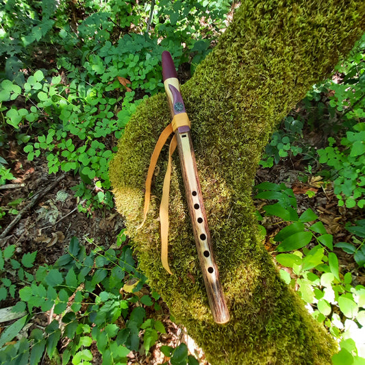 IN STOCK, high-A minor, Elderberry stem flute with purple heart and Galactic stone inlay, 440 hz