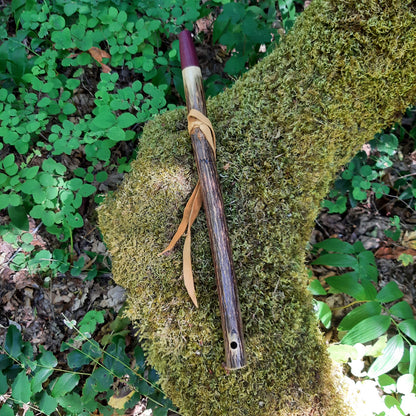 IN STOCK, high-A minor, Elderberry stem flute with purple heart and Galactic stone inlay, 440 hz